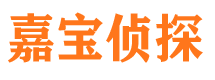 浔阳市私家侦探